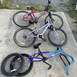 3 Bikes