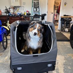 ADDMOTOR  Doggyhut S-Line Electric Cargo Dog Bike