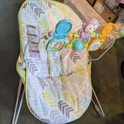 Fisher-Price Baby Infant Bouncer