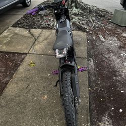 eride pro ss 2.0