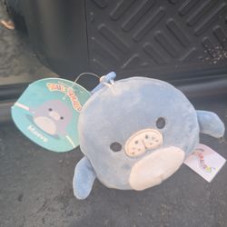 Squishmallow- Maeve the Manatee