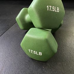 17.5lb Dumbbells (set of 2) (green) - POWERT Sport Neoprene Hex Dumbbells