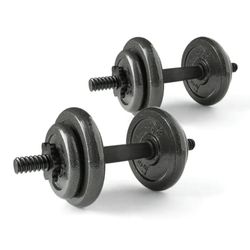 Gold’s Gym 40lb Dumbbell Set