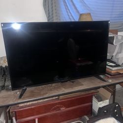 42 In Insignia Flat Screen