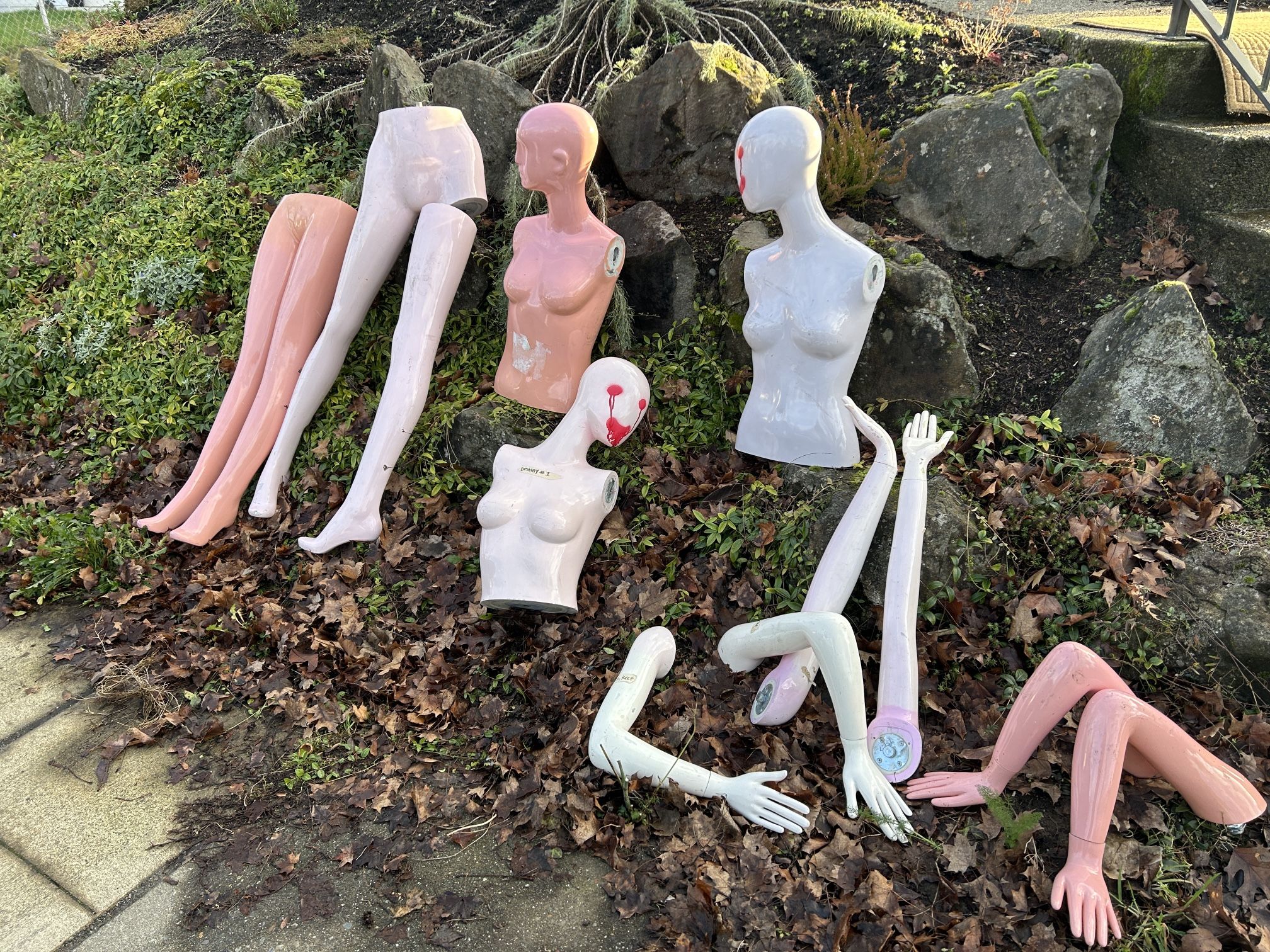 Free mannequins 