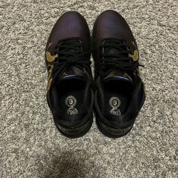 Kobe 5 Eggplant