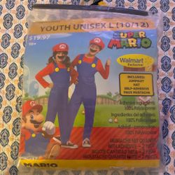 Mario costume