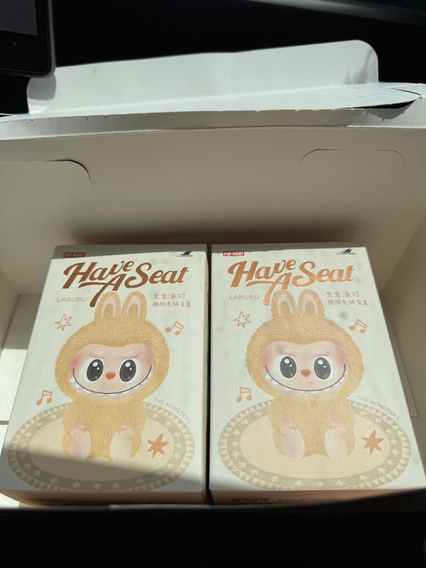 Sealed Box- THE MONSTERS - Have A Seat Vinyl Plush Blind Box - Labubu
