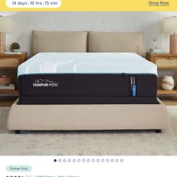 Designer Mattress