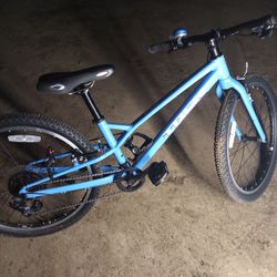 Trek Wahoo 24"Kids Bike