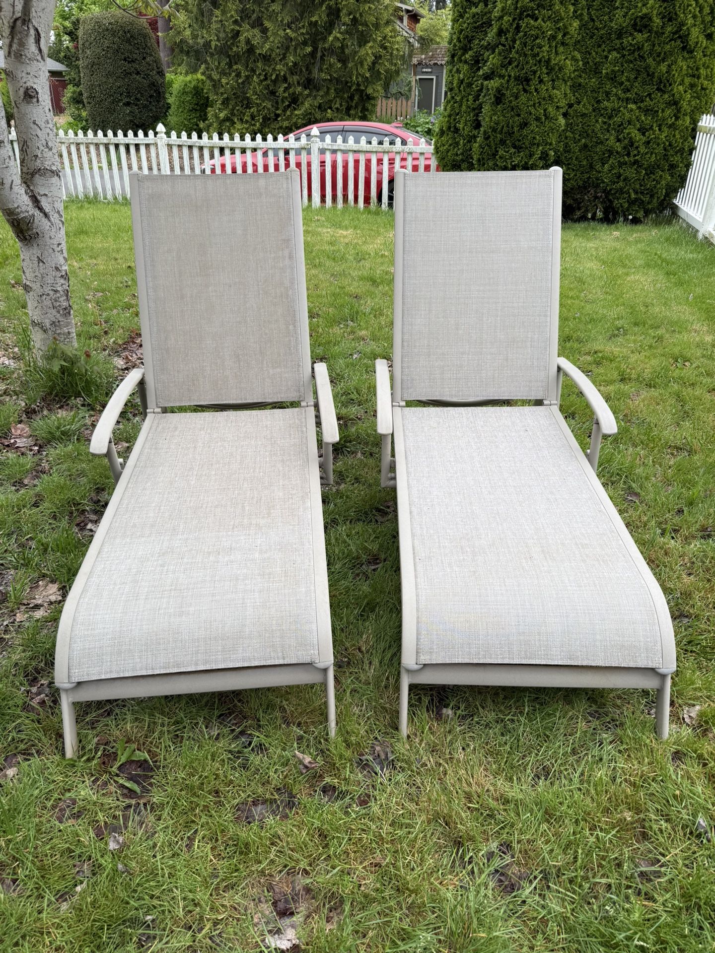 Lounge Chairs