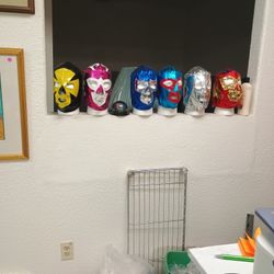 Wrestling Masks