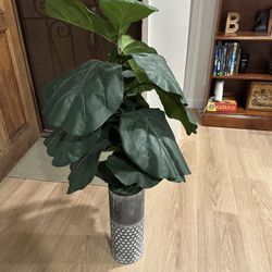 Fake Plant 