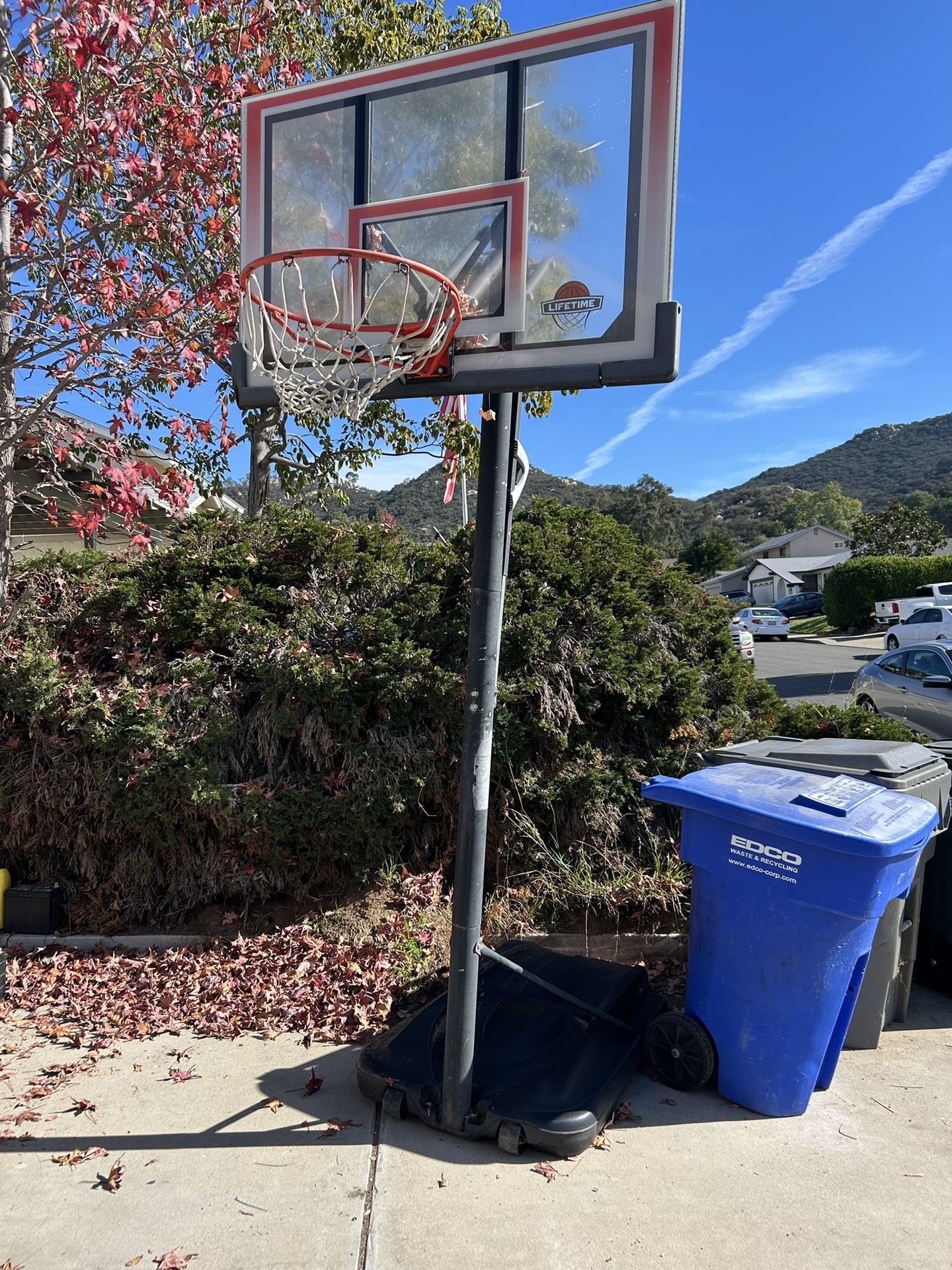 Basketball Hoop (Lifetime)