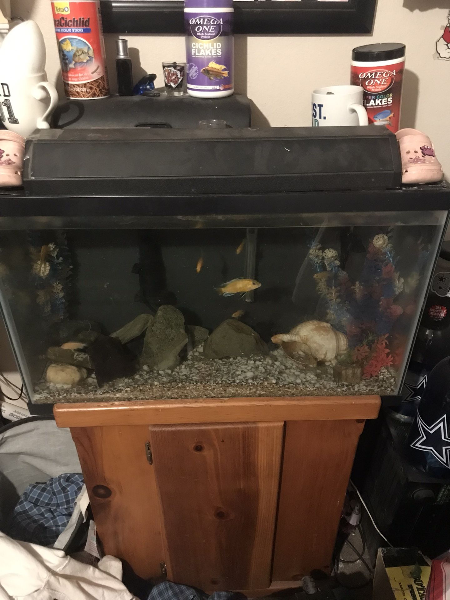 Fish Tank