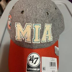 Miami Dolphins Hat