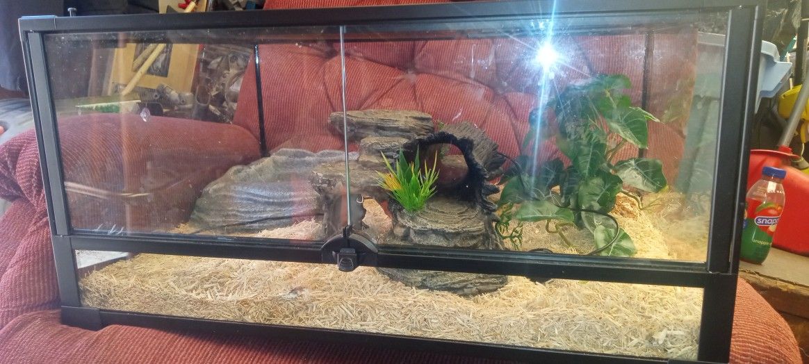 Aquarium/Tank