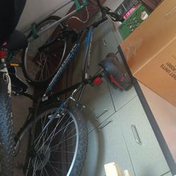 Men's Bike New 10 Speed