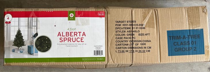 4 foot Alberta Spruce tree