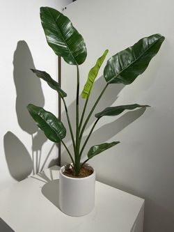 Artificial birds of paradise plant