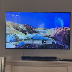 Sony 75 inch TV