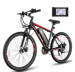 E bike