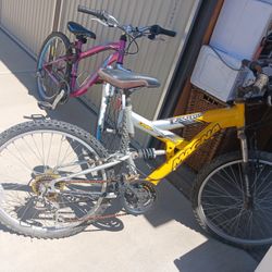 2 Bikes  For Sale