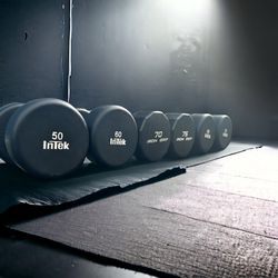 Iron Grip and InTel Dumbbell Set (420lbs)