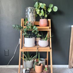 Plant Stand With Plants And Lamp
