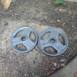 Weider 25 LB Weights