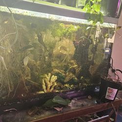 20 Gallon Tall Aquarium