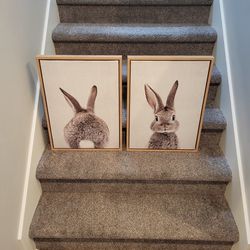 18x24 Framed Rabbit Pictures