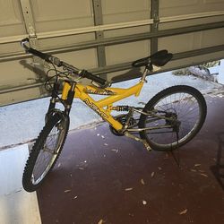 Adult Bike,needs brakes