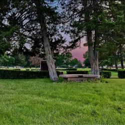 CEMETERY PLOTS & GRANITE MEMORIAL BENCH FOR SALE – BILLINGS, MONTANA 