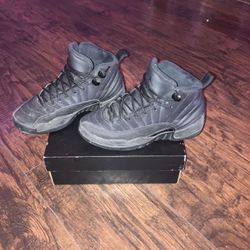 Jordan 12s