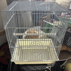 Set Of 3 Bird Cages 