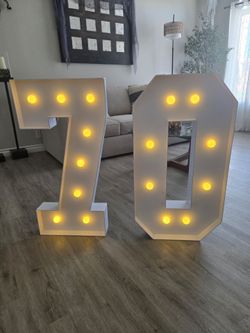 3 FT Light Up Numbers (#0 and #7)