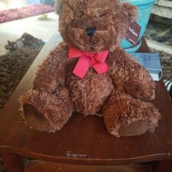 Teddy Bear For Present