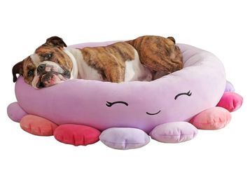 Squishmallows Model Pet Bed New !