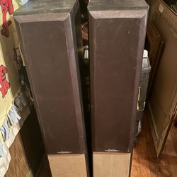 Pioneer Tower Speakers. Just need wires.