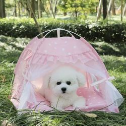 Pink Dog Tent