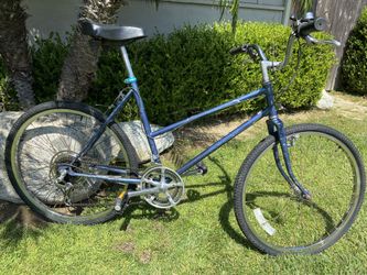 Schwinn mesa 2025 runner value