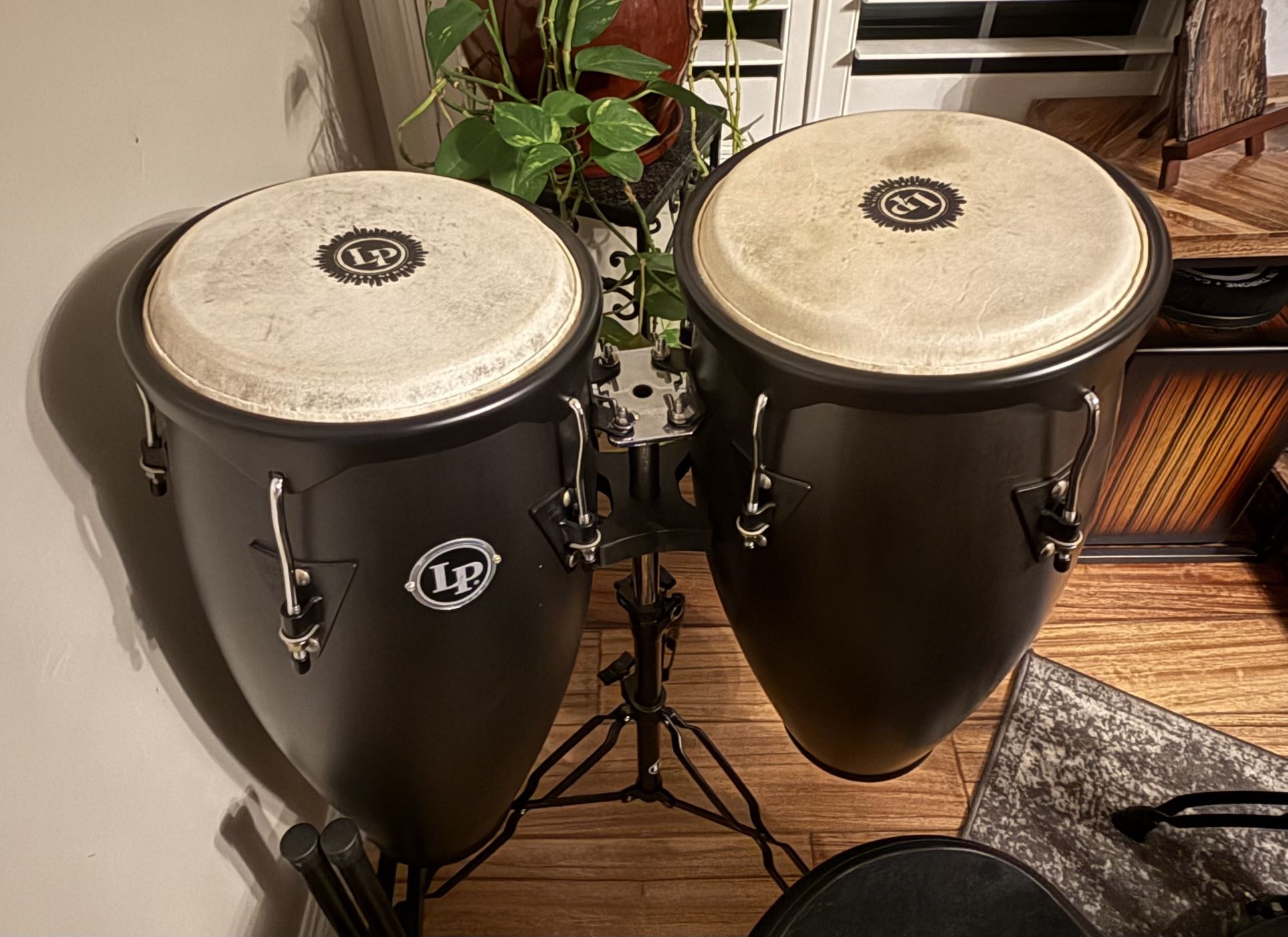 Lp Conga Set - Black With Free Cases