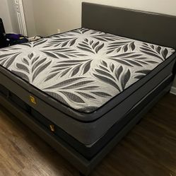 QUEEN BED FRAME, MATTRESS, BOX SPRING $365