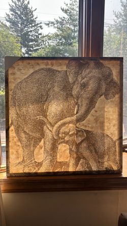 Elephant & Baby Canvas Wall Art