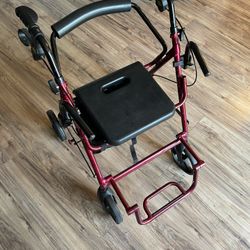 Walk Wheelchair Combo 