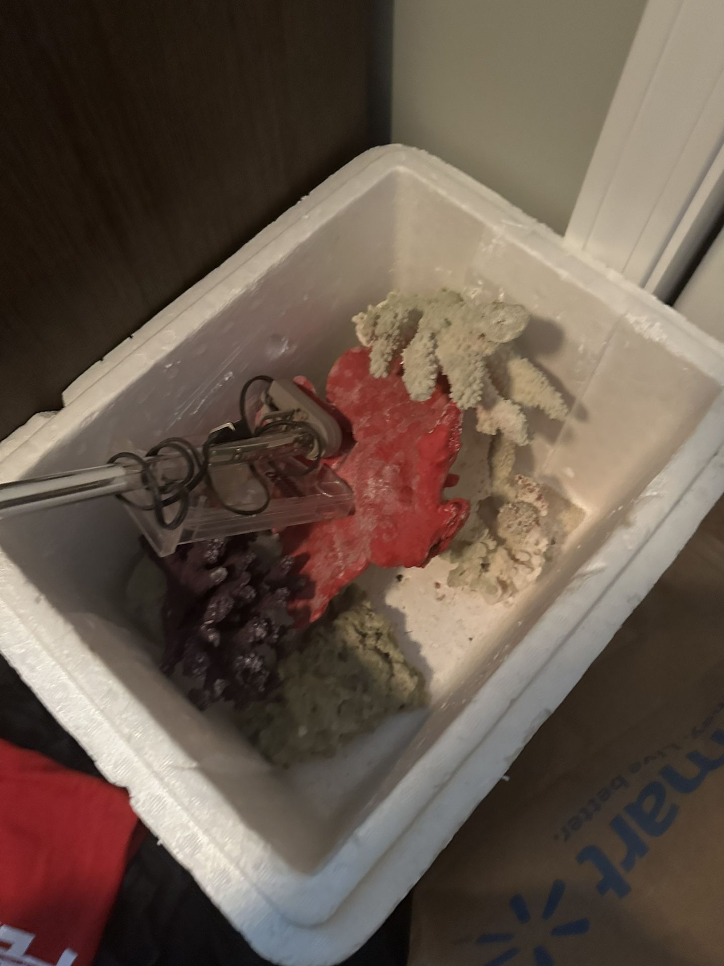 Coral Heater Salt Water