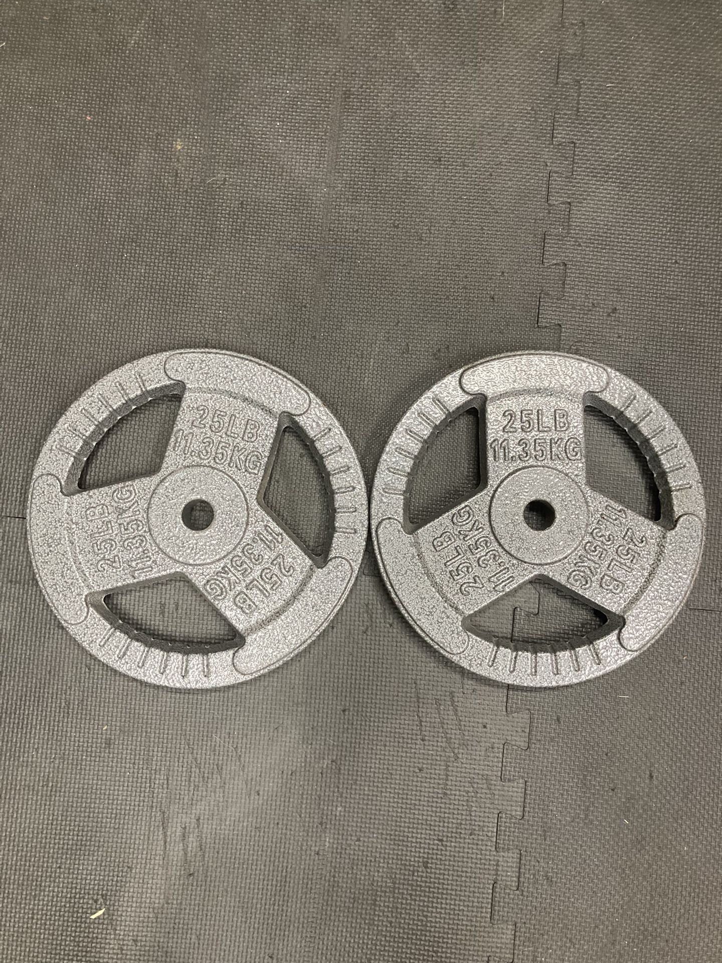 Standard 25lb Weight Plates