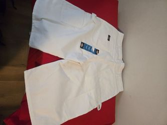 Dickies Painters Shorts size 36