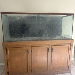 225 Gallon Aquarium Tank And Stand  Serious Inquirys Only